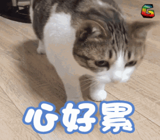 聽力考研題英語有聽力嗎_考研英語一有聽力題嗎_考研英語的聽力