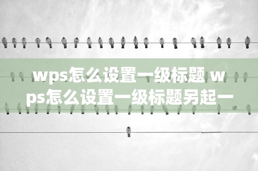 wps怎么設置一級標題 wps怎么設置一級標題